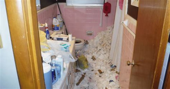Brandi Glanville Begs People To ‘Stop Hoarding’ Toilet Paper As Her Family Runs Out