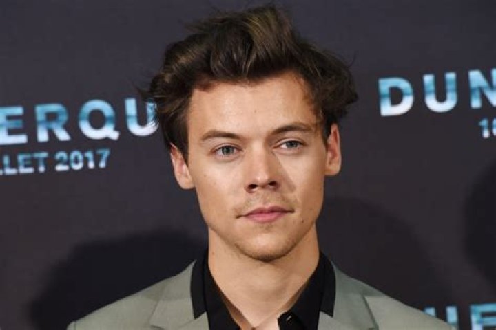 Harry Styles Reveals What Kind Of BF He Is & Why He Will Never Google New Flames