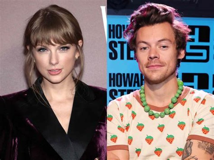 Harry Styles & Taylor Swift Were Never In Love With Each Other?