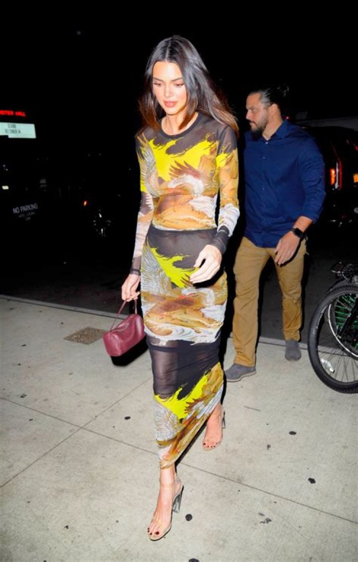 Kardashian & Jenner Sisters In Sheer Outfits: Photos – Hollywood Life