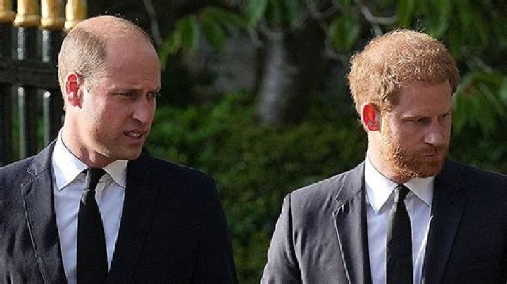 Prince Harry Reveals Necklace Prince William ‘Broke’ During Fight – Hollywood Life