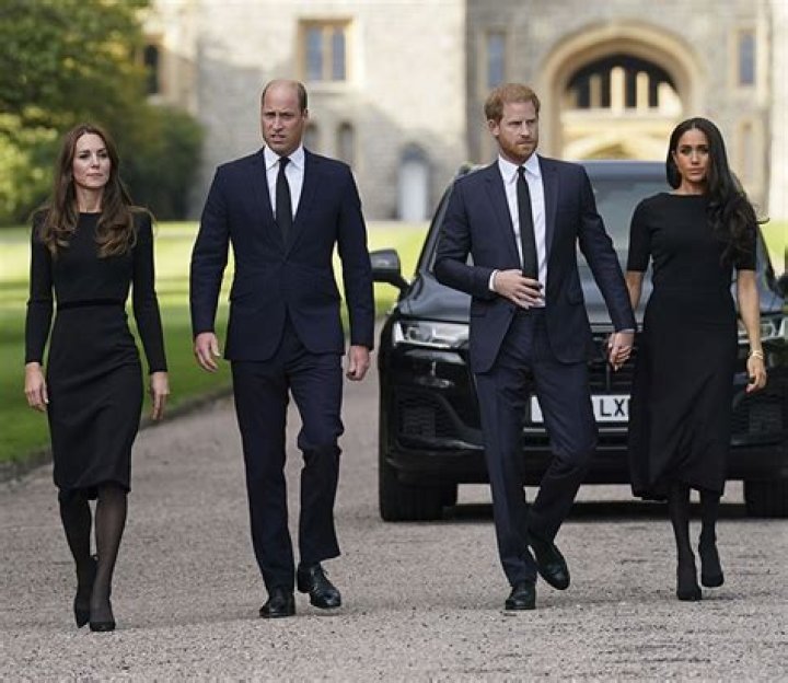 Prince William & Prince Harry Come Together For Princess Diana Award – Hollywood Life