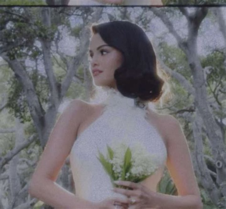 Vanessa Hudgens & Selena Gomez For Playboy? — Magazine Seduces Young Starlets – Hollywood Life