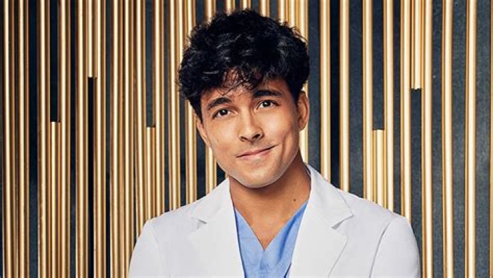 Who Is Niko Terho? About The Actor Playing Lucas On ‘Grey’s Anatomy’ – Hollywood Life